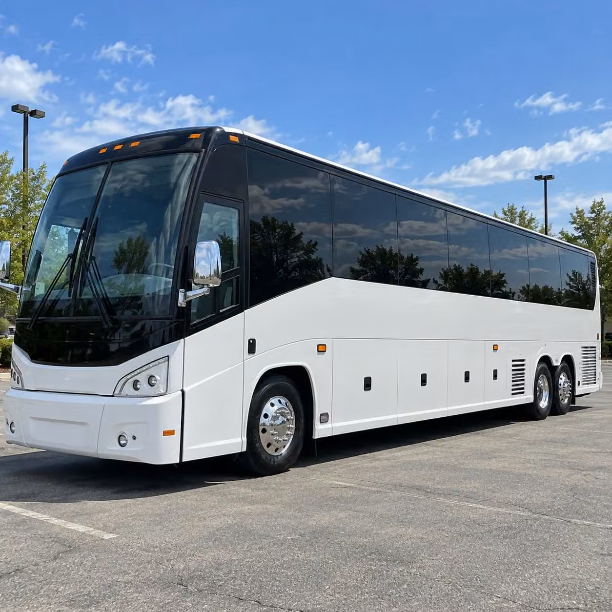 durham students can explore the museum of life and science with stress free bus transportation